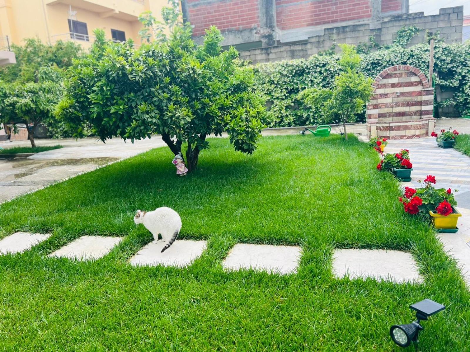 Appartement Sarvi *